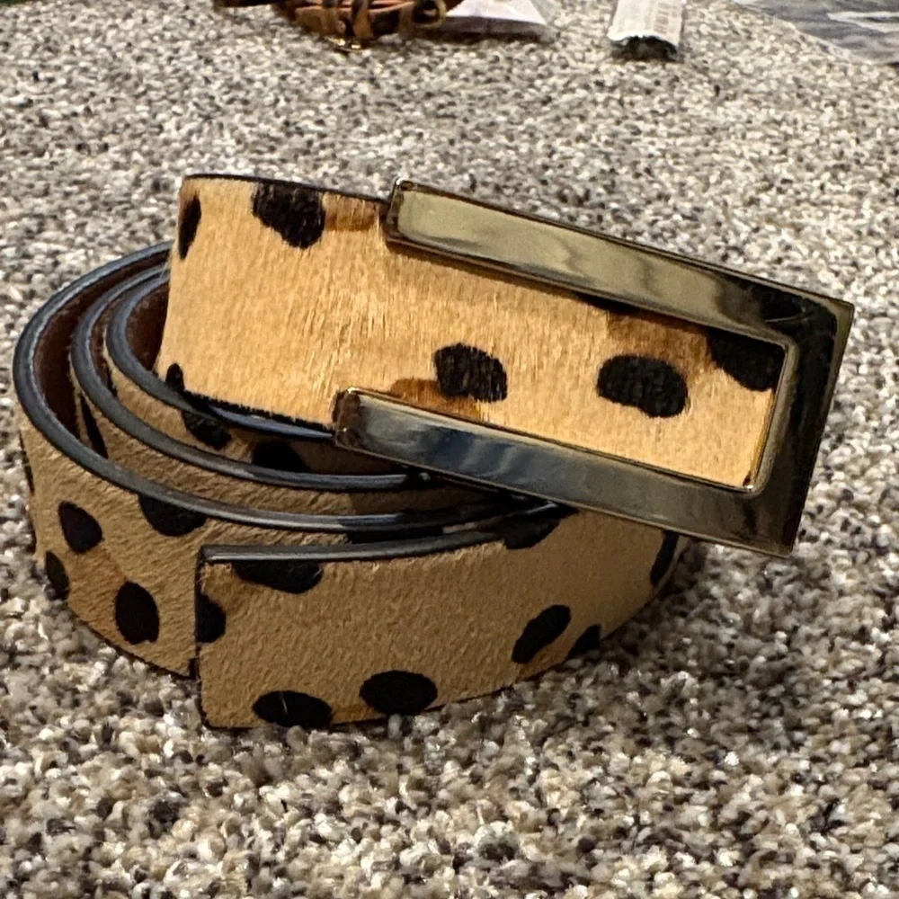 Chico's Tan and Black Polka Dot Belt